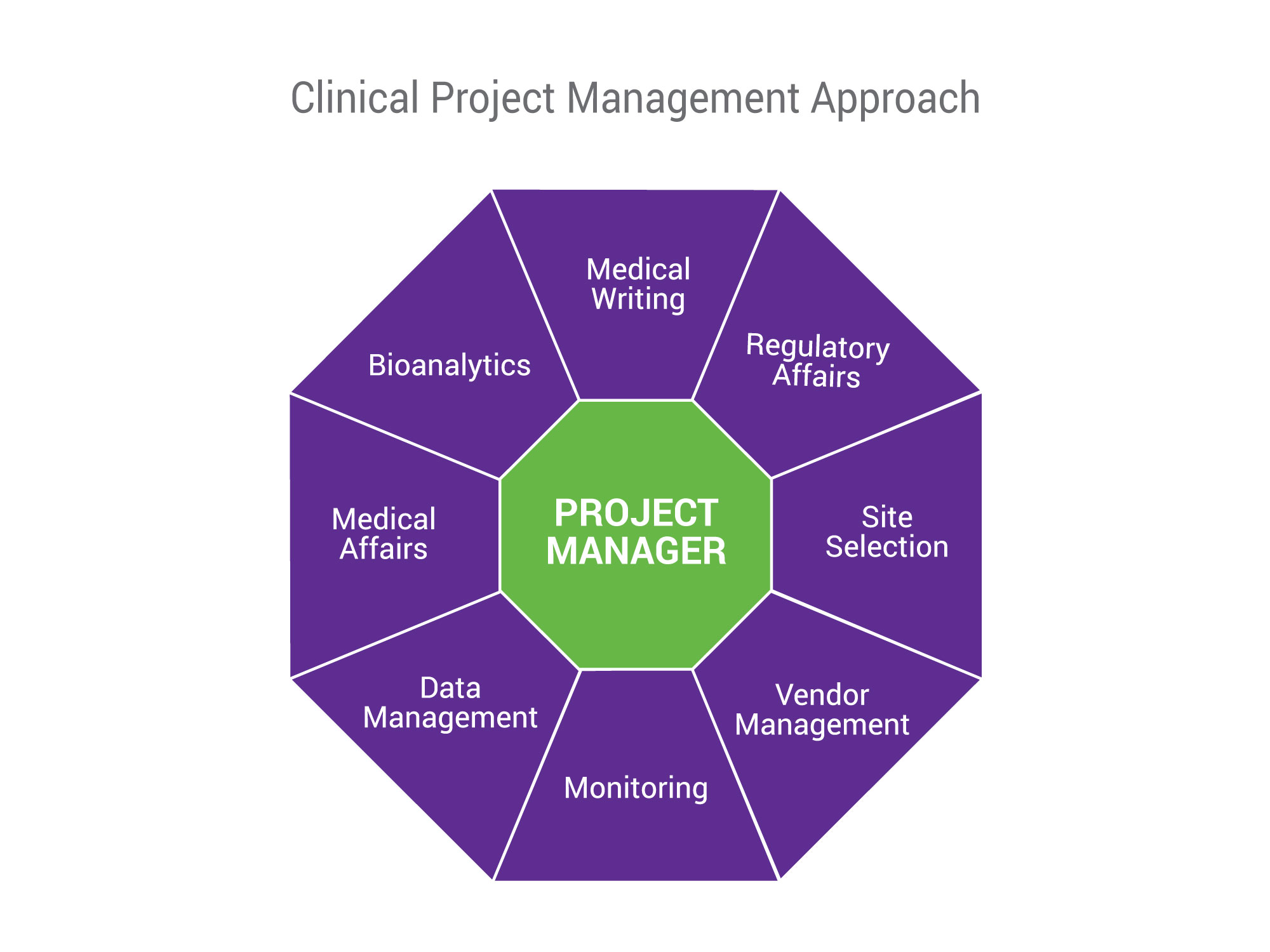 Clinical Project Management Approach