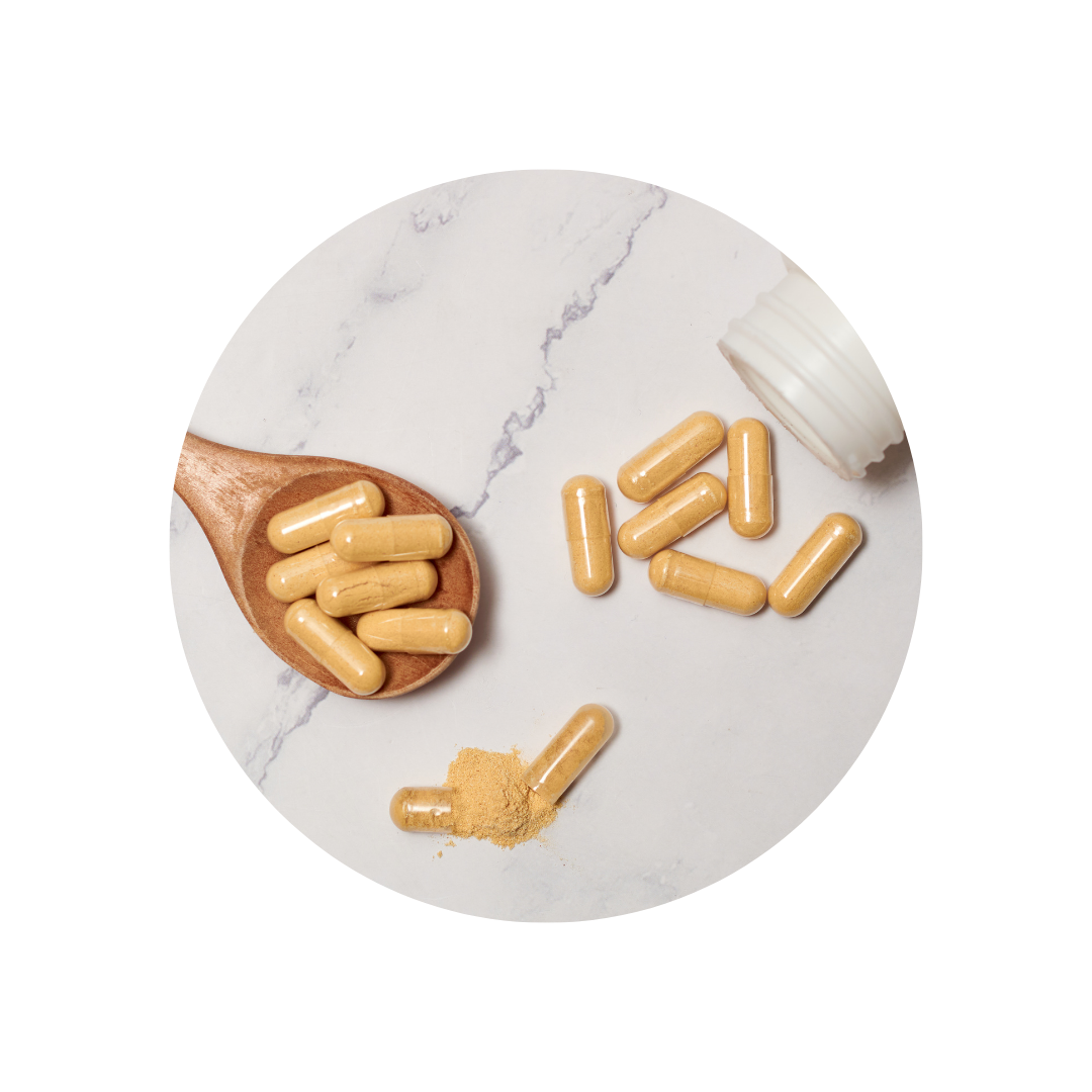 Subchronic Oral Toxicity Assessment of Bacillus velezensis Strain BV379 in Sprague-Dawley Rats