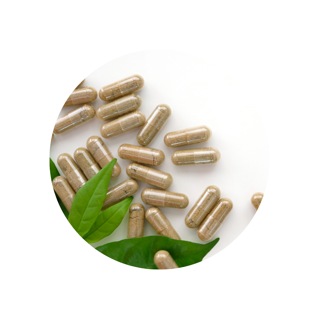 Effects of Limosilactobacillus reuteri strains PTA-126787 and PTA-126788 on intestinal barrier integrity and immune homeostasis in an alcohol-induced leaky gut model