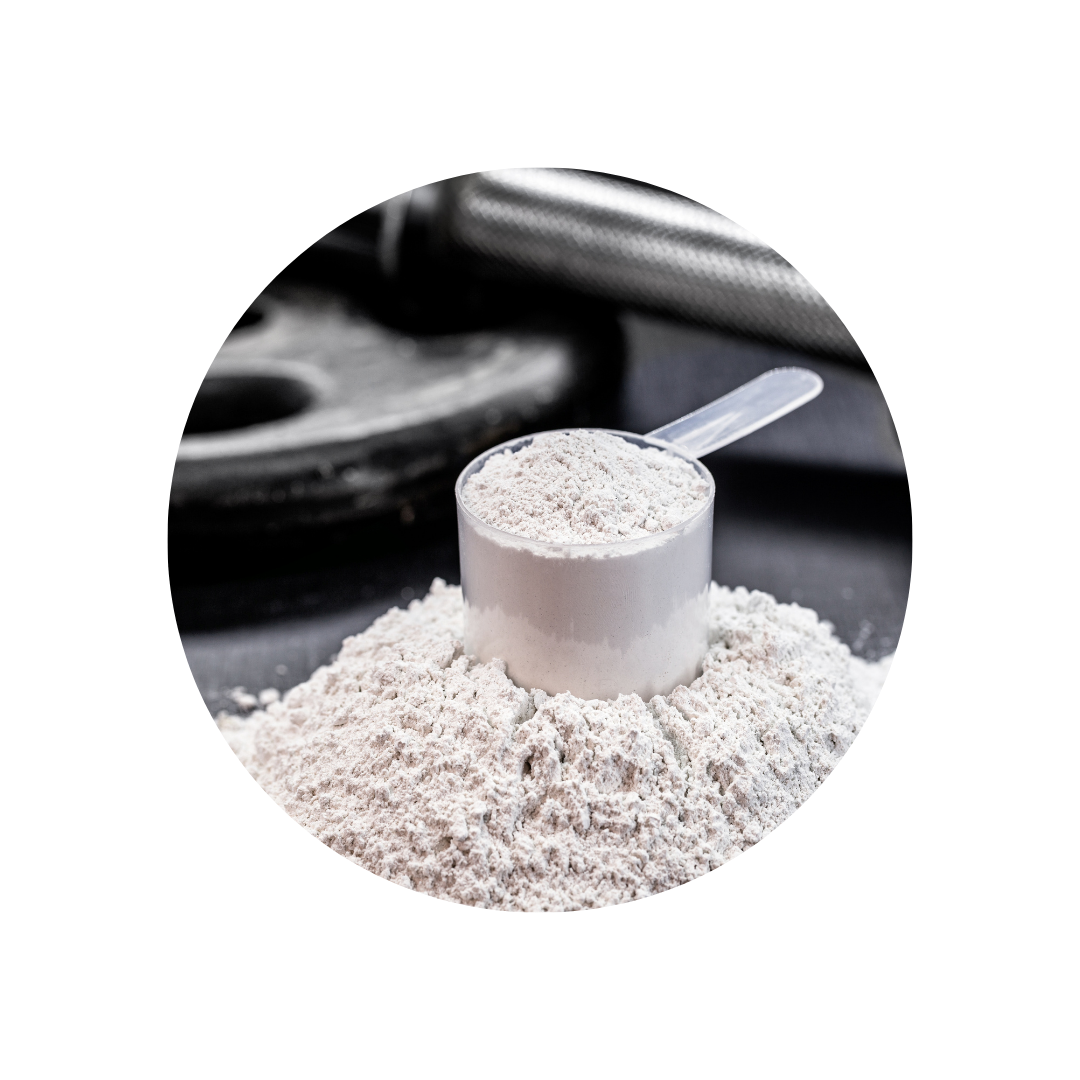 Pharmacokinetic Evaluation of a Single 5-Gram Bolus of Creatine Monohydrate Versus Two Other Creatine-Containing Investigational Products