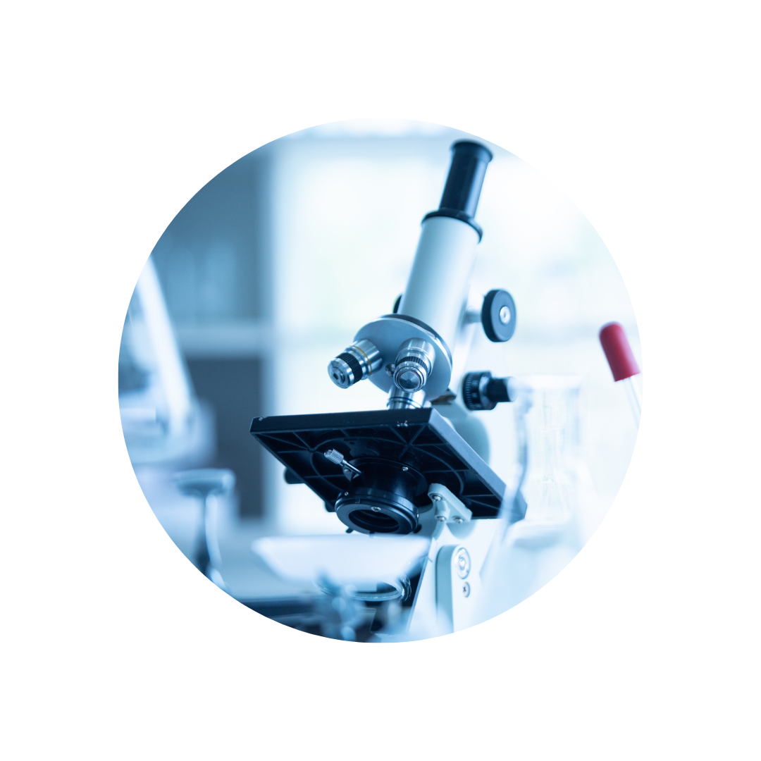 Toxicological and safety evaluations of Weissella cibaria strain CMU in animal toxicity and genotoxicity