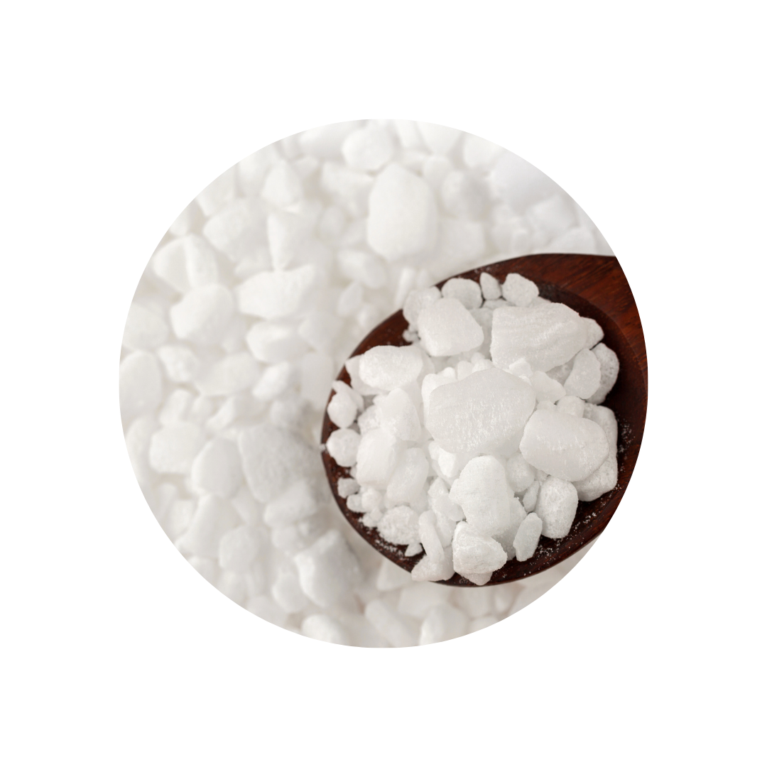 Genotoxicity evaluation of magnesium salts of isobutyrate and 2-methylbutyrate