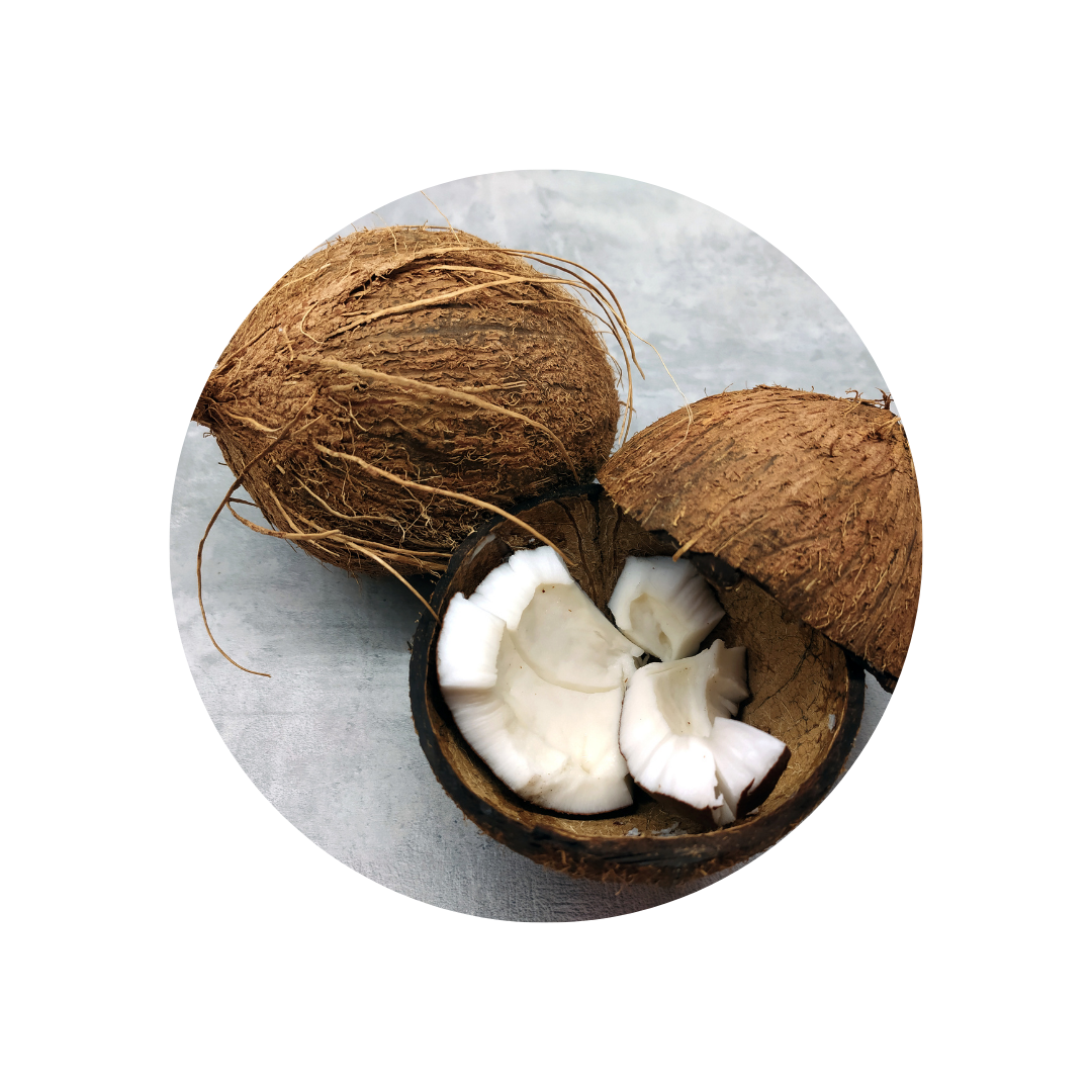 Coconuts and Health: Different Chain Lengths of Saturated Fats Require Different Consideration