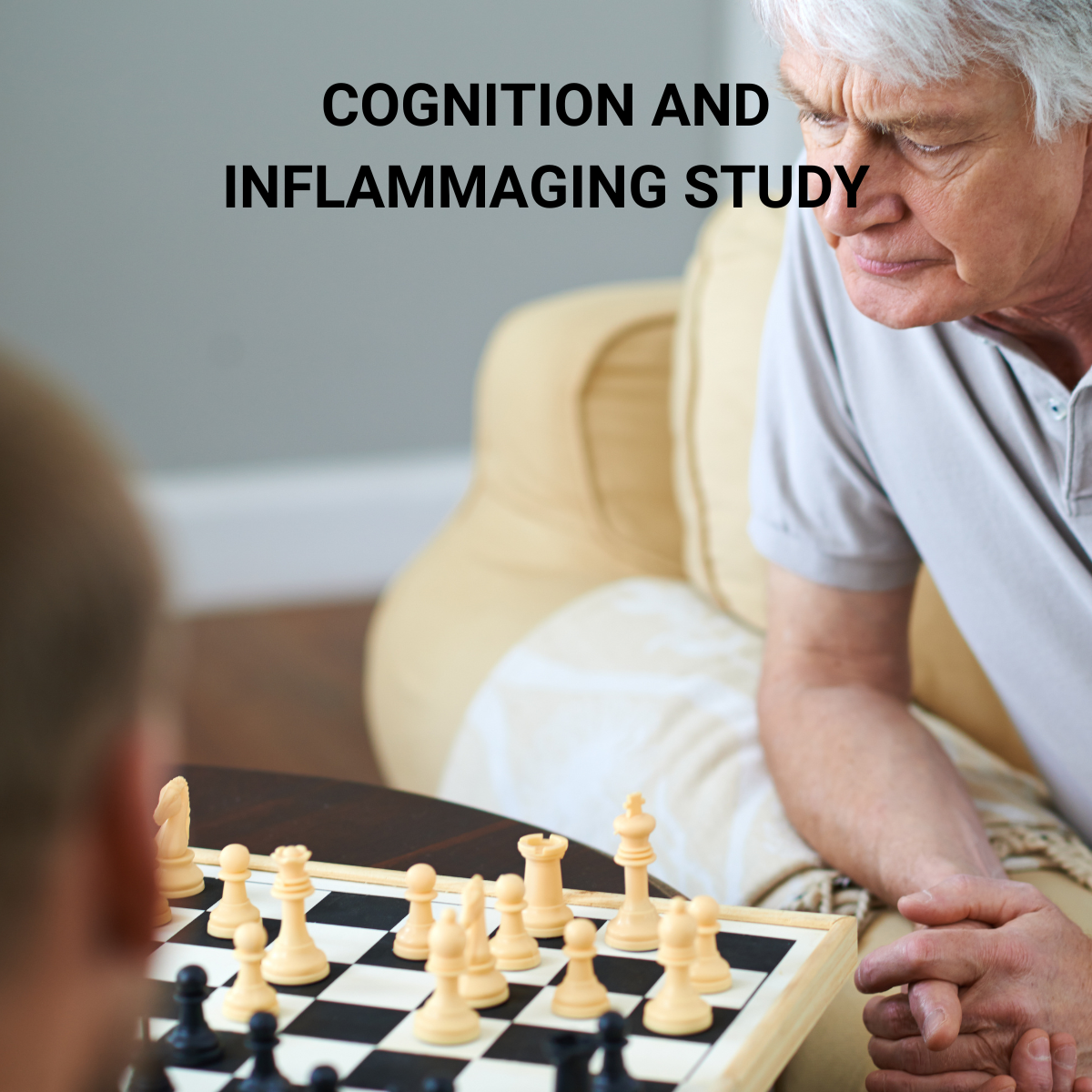 Palm Fruit's Potential Benefits for Cognition and Inflammaging