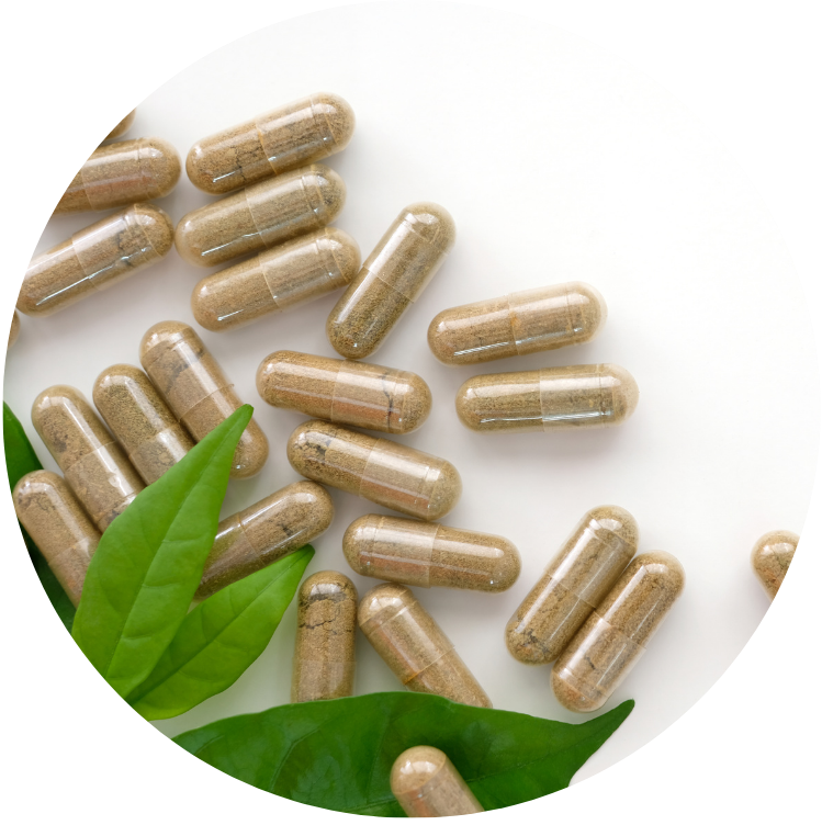 Toxicology Safety Assessment of Limosilactobacillus reuteri strains PTA-126787 and PTA-126788