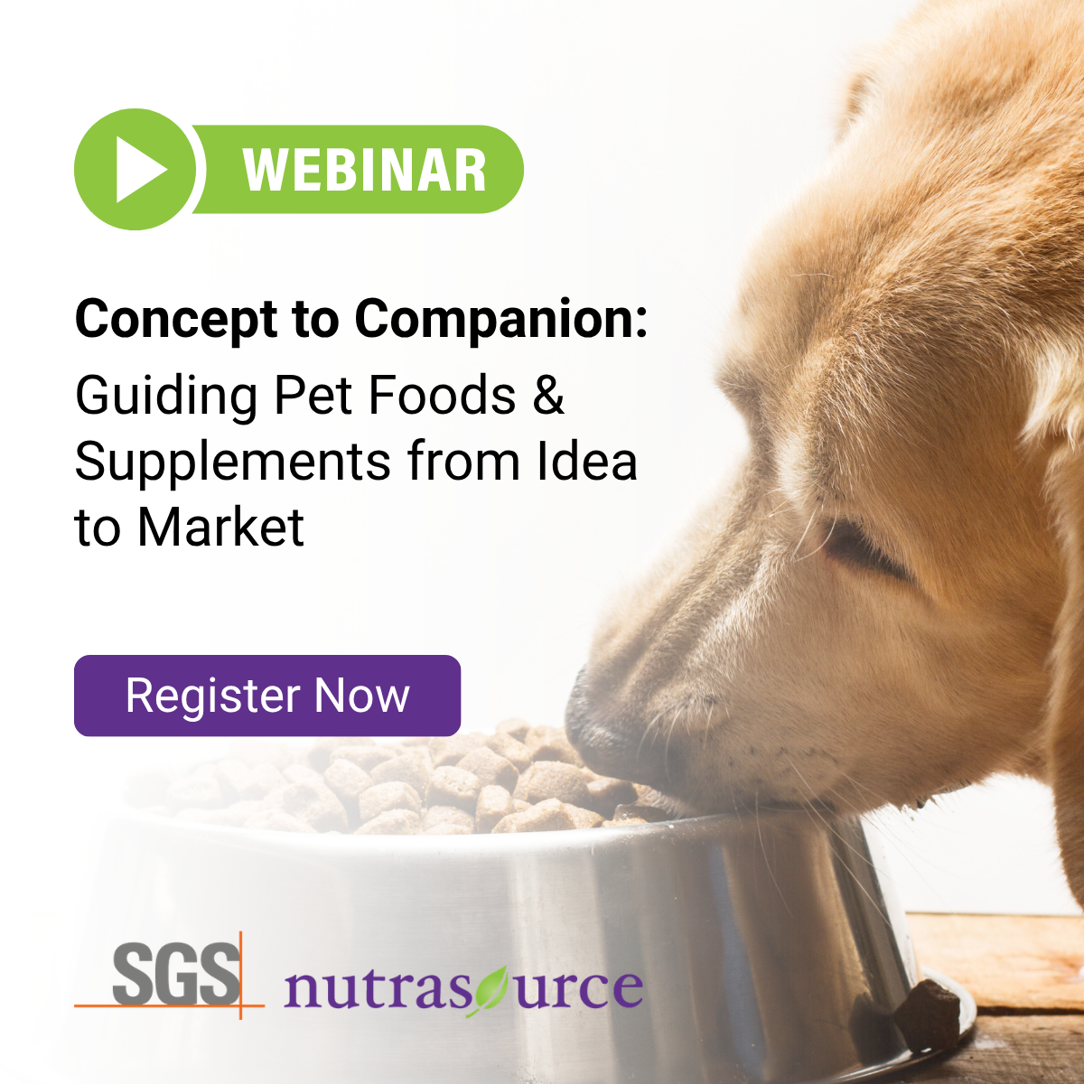 Concept to Companion: Guiding Pet Foods & Supplements from Idea to Market