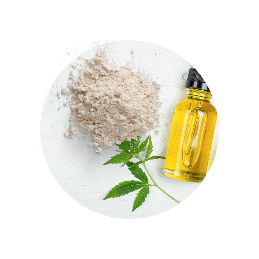 Comparative Pharmacokinetics and Safety of Cannabidiol in a Powder  Formulation,  CBtru®, vs an Oil‑Based Formulation,  Epidyolex®, Under  Fasted and Fed Conditions in Healthy Participants: A Randomized  Open‑Label Cross‑Over Phase I Stud